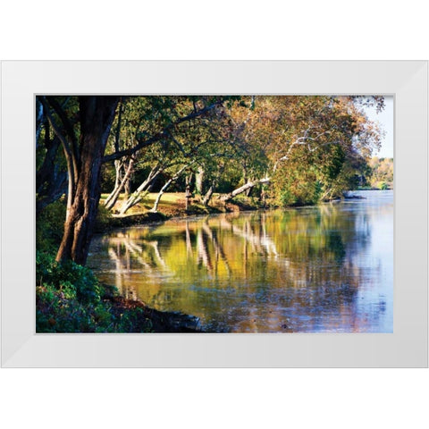 Autumn on the James II White Modern Wood Framed Art Print by Hausenflock, Alan