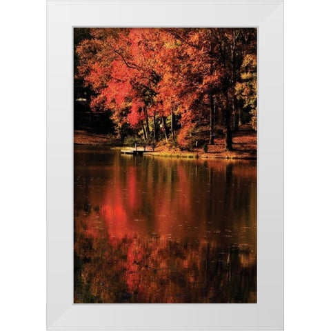 Red Reflections White Modern Wood Framed Art Print by Hausenflock, Alan