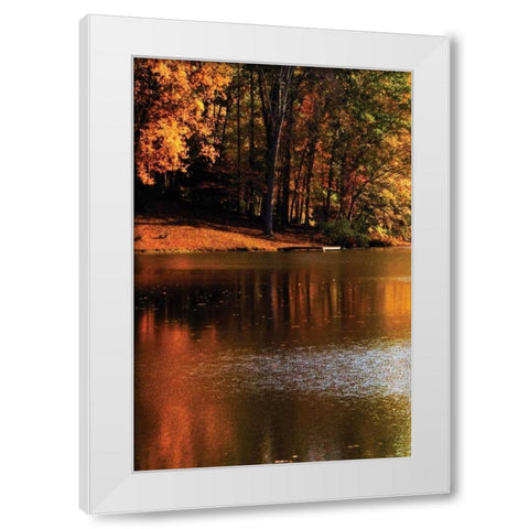 Gold Reflections White Modern Wood Framed Art Print by Hausenflock, Alan