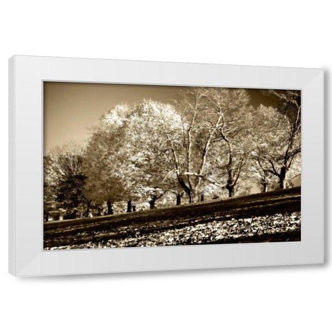 Falling Leaves White Modern Wood Framed Art Print by Hausenflock, Alan