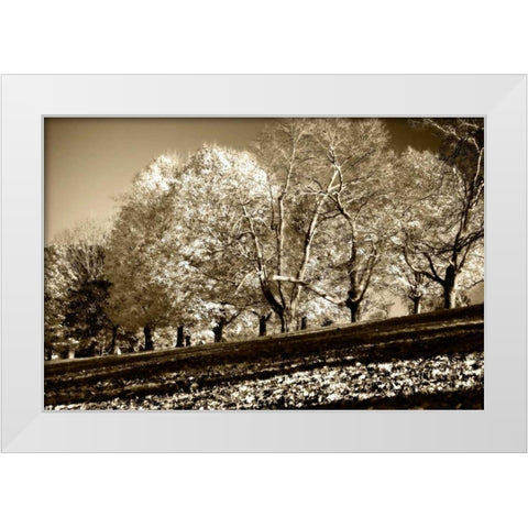 Falling Leaves White Modern Wood Framed Art Print by Hausenflock, Alan