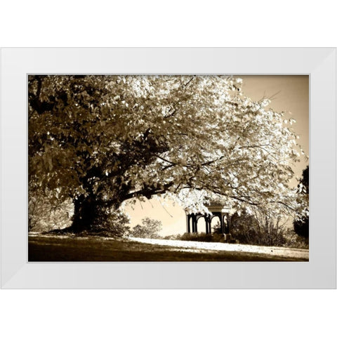 Gazebo White Modern Wood Framed Art Print by Hausenflock, Alan