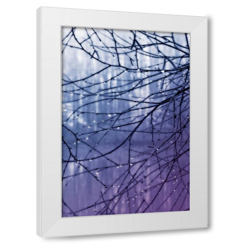 Droplets I White Modern Wood Framed Art Print by Hausenflock, Alan