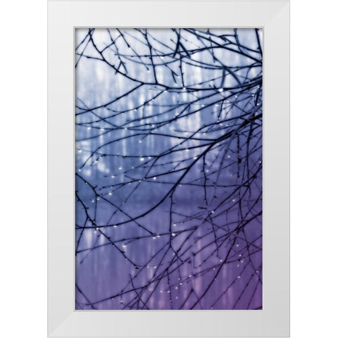 Droplets I White Modern Wood Framed Art Print by Hausenflock, Alan