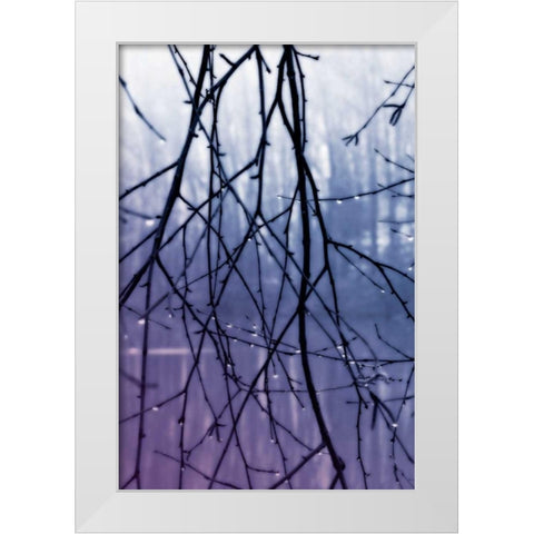 Droplets II White Modern Wood Framed Art Print by Hausenflock, Alan