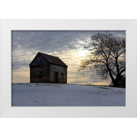 Winter Sky I White Modern Wood Framed Art Print by Hausenflock, Alan