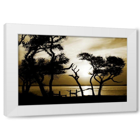 Blissful Shore I White Modern Wood Framed Art Print by Hausenflock, Alan