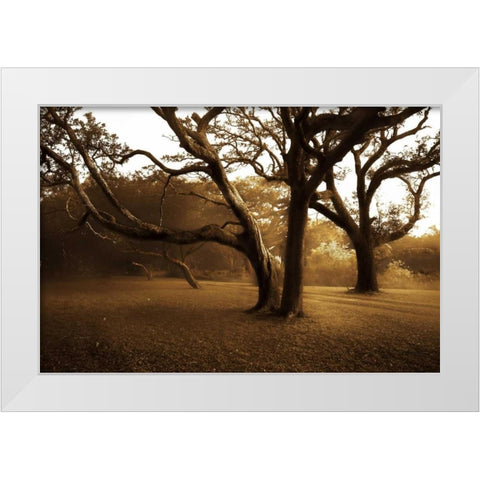 Salvation Retreat II White Modern Wood Framed Art Print by Hausenflock, Alan