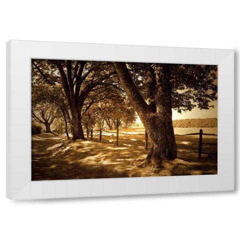 Summer Stroll II White Modern Wood Framed Art Print by Hausenflock, Alan