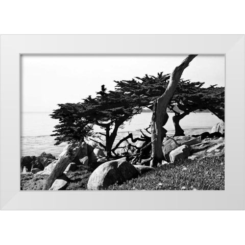 Ocean View II White Modern Wood Framed Art Print by Hausenflock, Alan