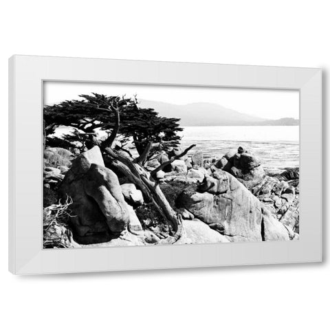 Ocean Cliff II White Modern Wood Framed Art Print by Hausenflock, Alan