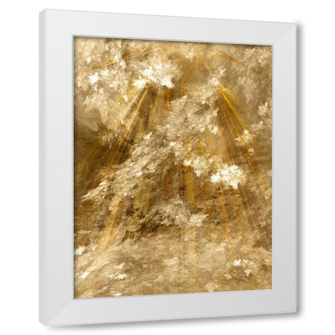 Fractal Light II White Modern Wood Framed Art Print by Hausenflock, Alan