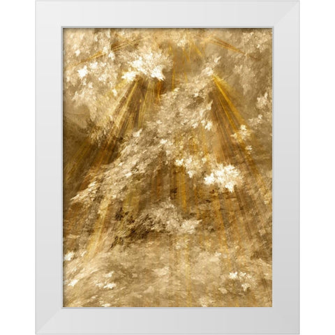 Fractal Light II White Modern Wood Framed Art Print by Hausenflock, Alan