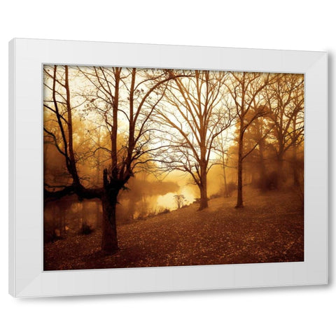 Peaceful I White Modern Wood Framed Art Print by Hausenflock, Alan