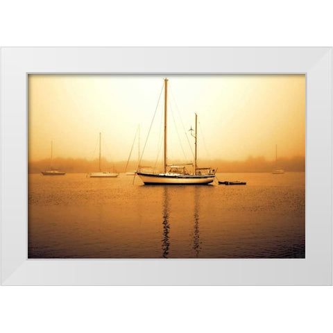 Early Morning Fishing I White Modern Wood Framed Art Print by Hausenflock, Alan