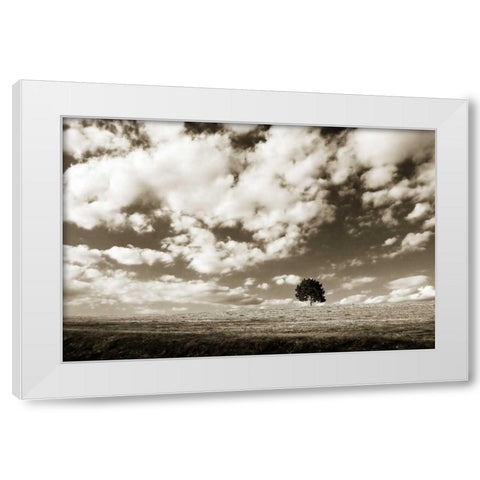 Cloudy Skies I White Modern Wood Framed Art Print by Hausenflock, Alan