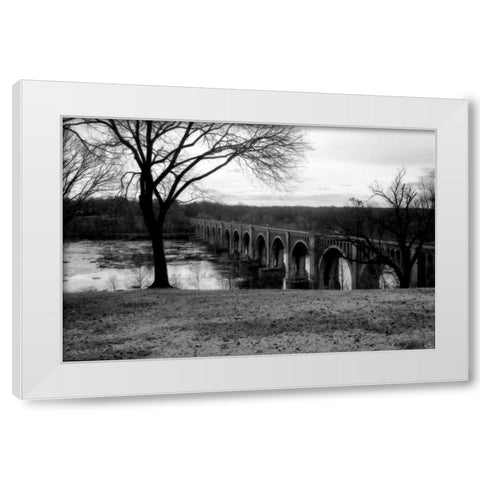 Bridge Across the James V White Modern Wood Framed Art Print by Hausenflock, Alan