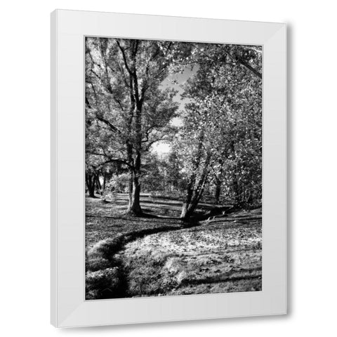 A Small Creek White Modern Wood Framed Art Print by Hausenflock, Alan