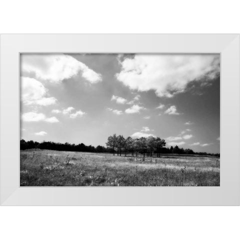 Tree Line II White Modern Wood Framed Art Print by Hausenflock, Alan