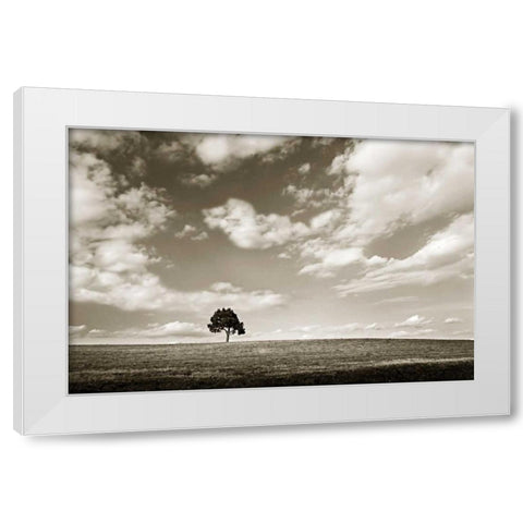 Cloudy Skies III White Modern Wood Framed Art Print by Hausenflock, Alan