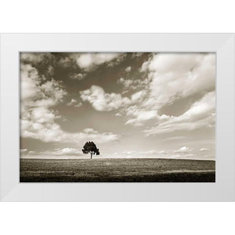 Cloudy Skies III White Modern Wood Framed Art Print by Hausenflock, Alan