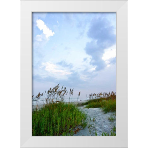 Early Morning in the Dunes V White Modern Wood Framed Art Print by Hausenflock, Alan