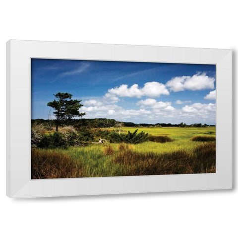 Marshland I White Modern Wood Framed Art Print by Hausenflock, Alan