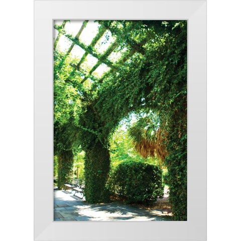 Ivy I White Modern Wood Framed Art Print by Hausenflock, Alan