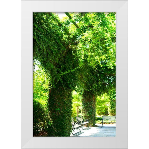 Ivy II White Modern Wood Framed Art Print by Hausenflock, Alan