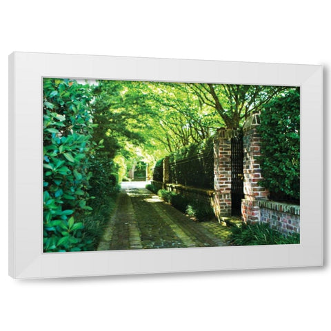 The Back Gate White Modern Wood Framed Art Print by Hausenflock, Alan