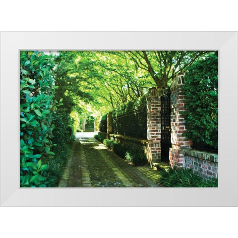 The Back Gate White Modern Wood Framed Art Print by Hausenflock, Alan