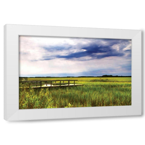 Marshland Storm I White Modern Wood Framed Art Print by Hausenflock, Alan