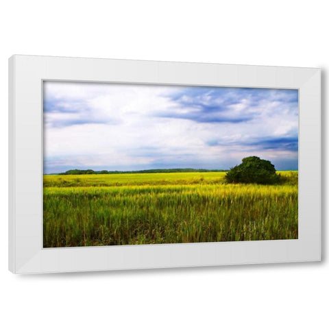 Marshland Storm II White Modern Wood Framed Art Print by Hausenflock, Alan