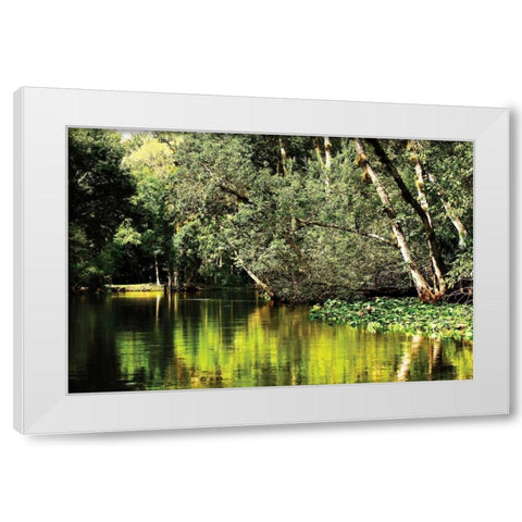 Silver River I White Modern Wood Framed Art Print by Hausenflock, Alan