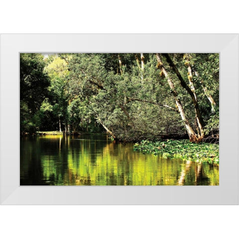 Silver River I White Modern Wood Framed Art Print by Hausenflock, Alan