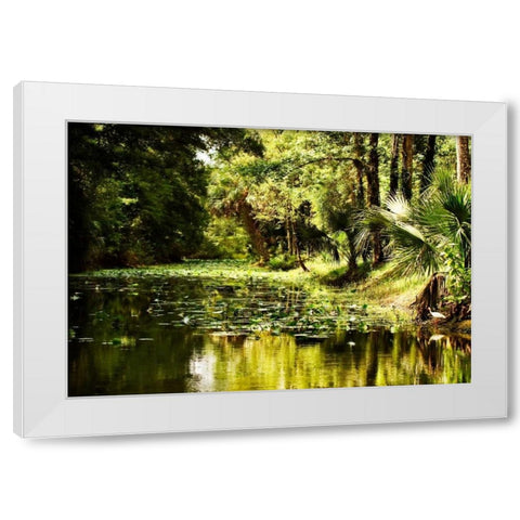 Silver River III White Modern Wood Framed Art Print by Hausenflock, Alan