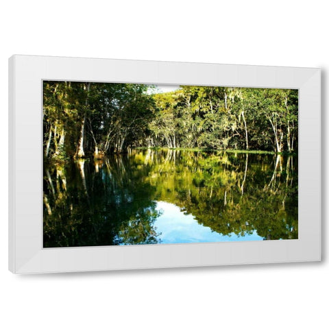 Silver River IV White Modern Wood Framed Art Print by Hausenflock, Alan