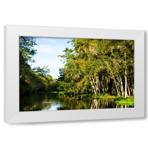 Silver River V White Modern Wood Framed Art Print by Hausenflock, Alan