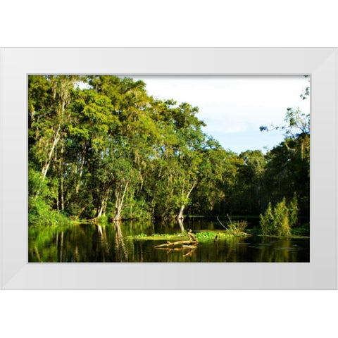 Silver River VI White Modern Wood Framed Art Print by Hausenflock, Alan