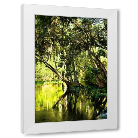 Winding River II White Modern Wood Framed Art Print by Hausenflock, Alan