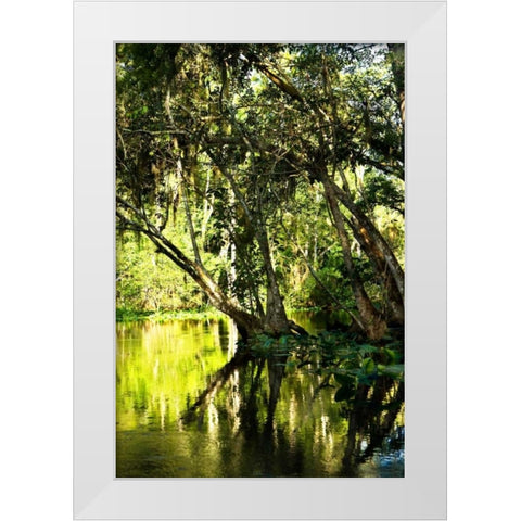 Winding River II White Modern Wood Framed Art Print by Hausenflock, Alan