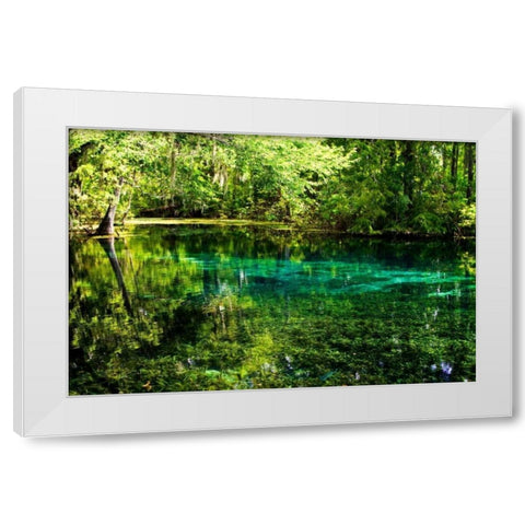 Clear Spring Waters I White Modern Wood Framed Art Print by Hausenflock, Alan