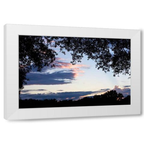 Sunset Through the Trees II White Modern Wood Framed Art Print by Hausenflock, Alan