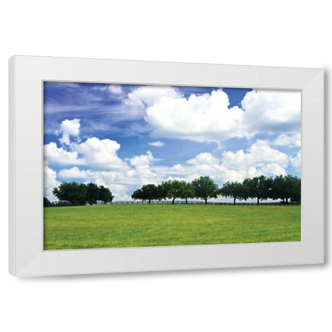 Tree Line III White Modern Wood Framed Art Print by Hausenflock, Alan