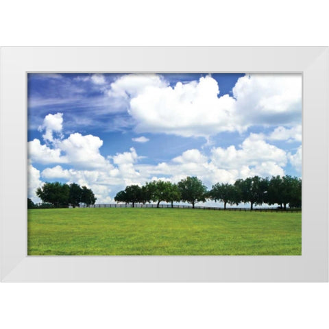 Tree Line III White Modern Wood Framed Art Print by Hausenflock, Alan