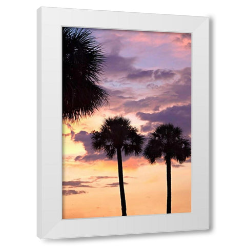 San Marcos Sunset V White Modern Wood Framed Art Print by Hausenflock, Alan