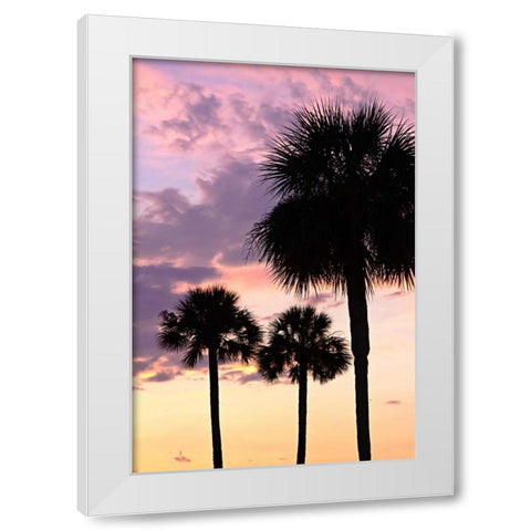 San Marcos Sunset VI White Modern Wood Framed Art Print by Hausenflock, Alan