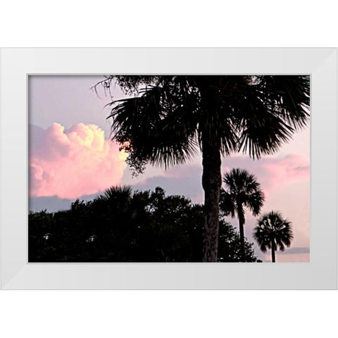 Days End II White Modern Wood Framed Art Print by Hausenflock, Alan