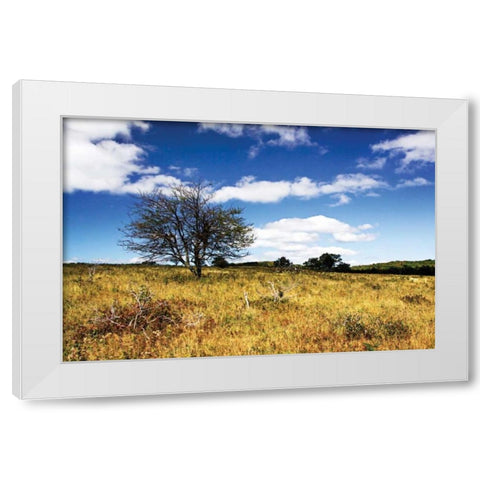 Big Meadow I White Modern Wood Framed Art Print by Hausenflock, Alan