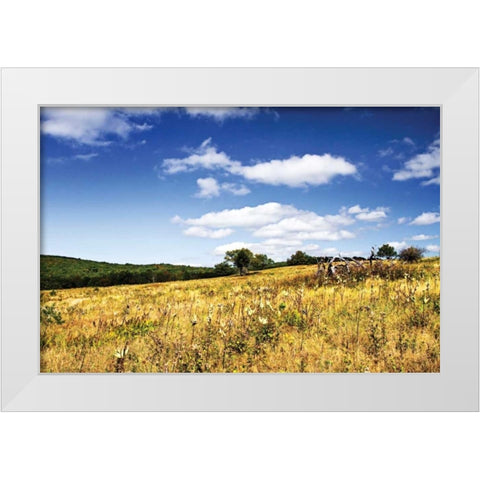 Big Meadow II White Modern Wood Framed Art Print by Hausenflock, Alan